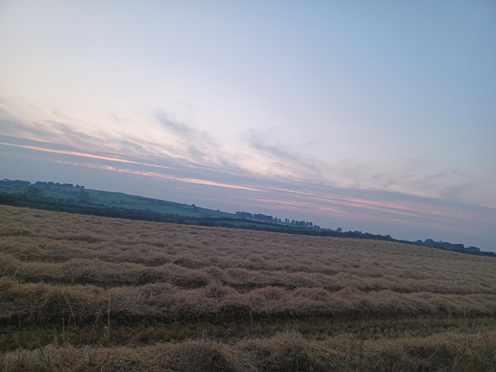 Country Haven Eircode H54 Ak31 Leilighet Galway Eksteriør bilde