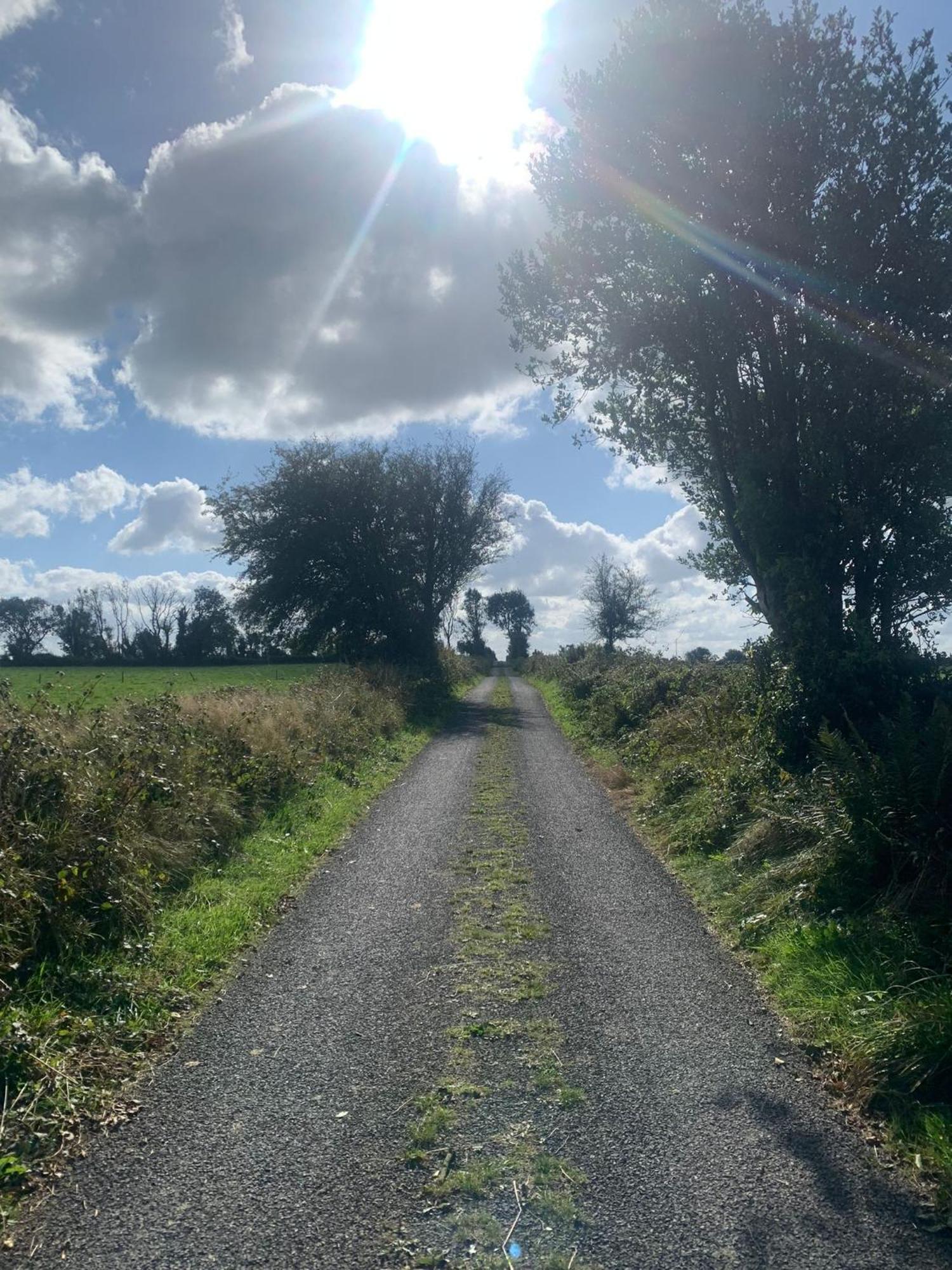 Country Haven Eircode H54 Ak31 Leilighet Galway Eksteriør bilde